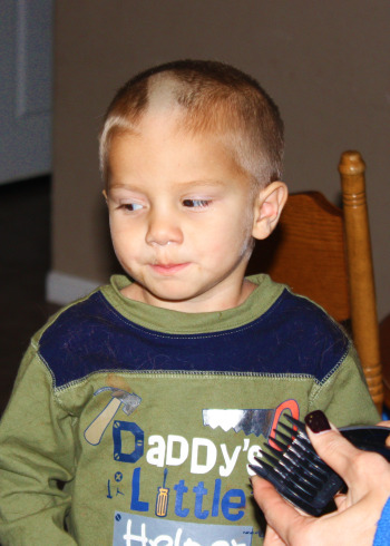 noah buzzed noah buzzed