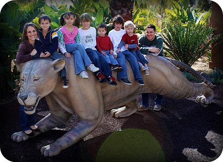 american lion and us at san diego zoo american lion and us at san diego zoo