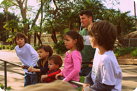 animal watching Animal watching on our last family vacation in San Diego