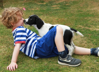 a boy and his dog